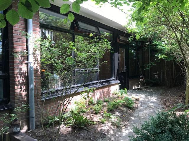 Apartamento De Rietnymf Munnekeburen Exterior foto